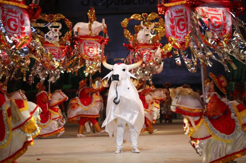 Boi Garantido lança hoje (30) tema para Festival de Parintins 2024